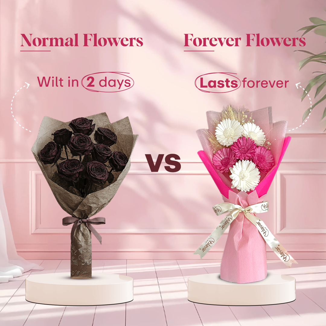 Pink & White Daisy Dried Flower Bouquet - Set of 6