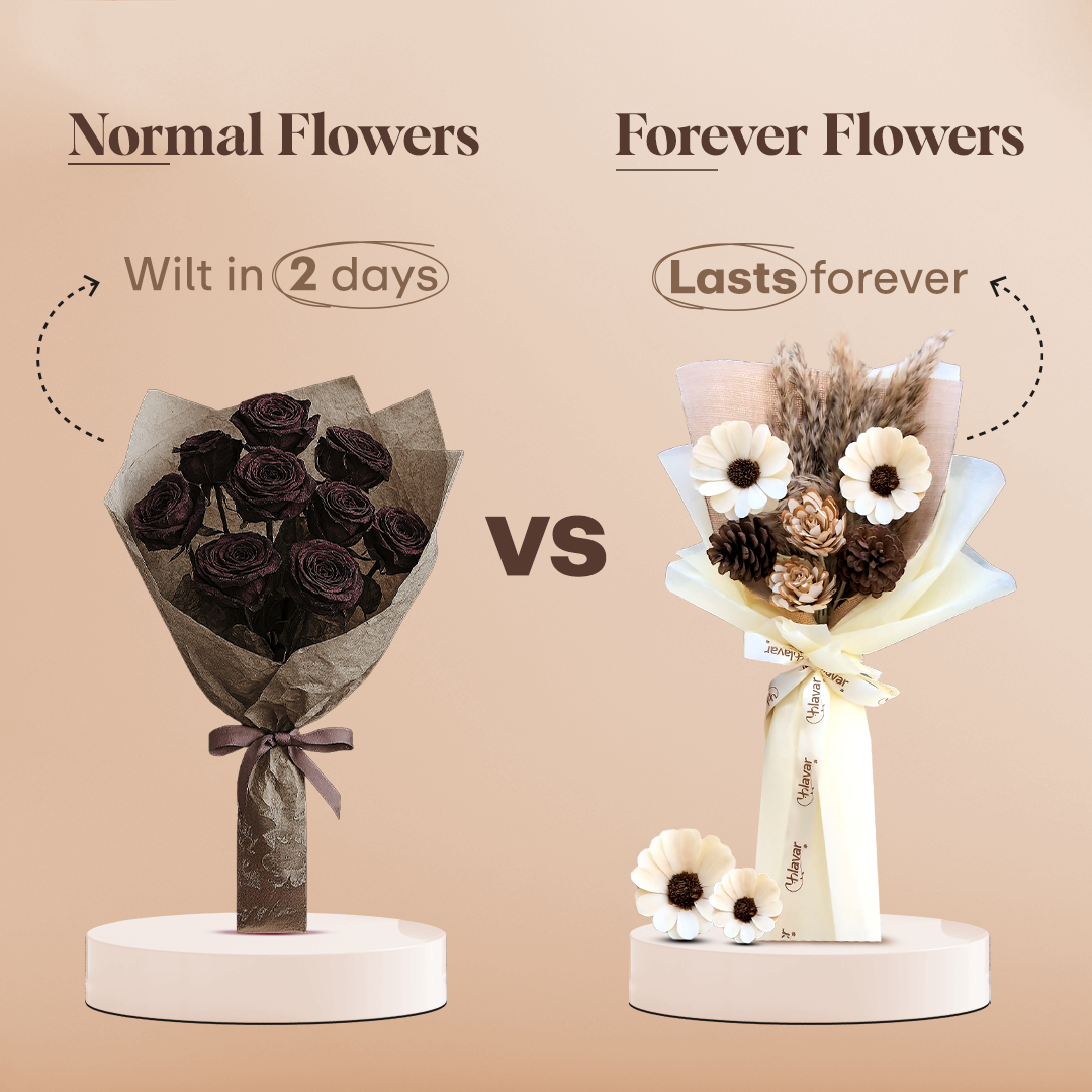 Rustic Daisy & Pinecone Dried Flower Bouquet - Premium Set of 6