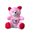 Pink "Best Wishes" Teddy Bear
