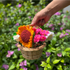 Sunshine Basket – With Crochet Sunflower & Mixed Flowers
