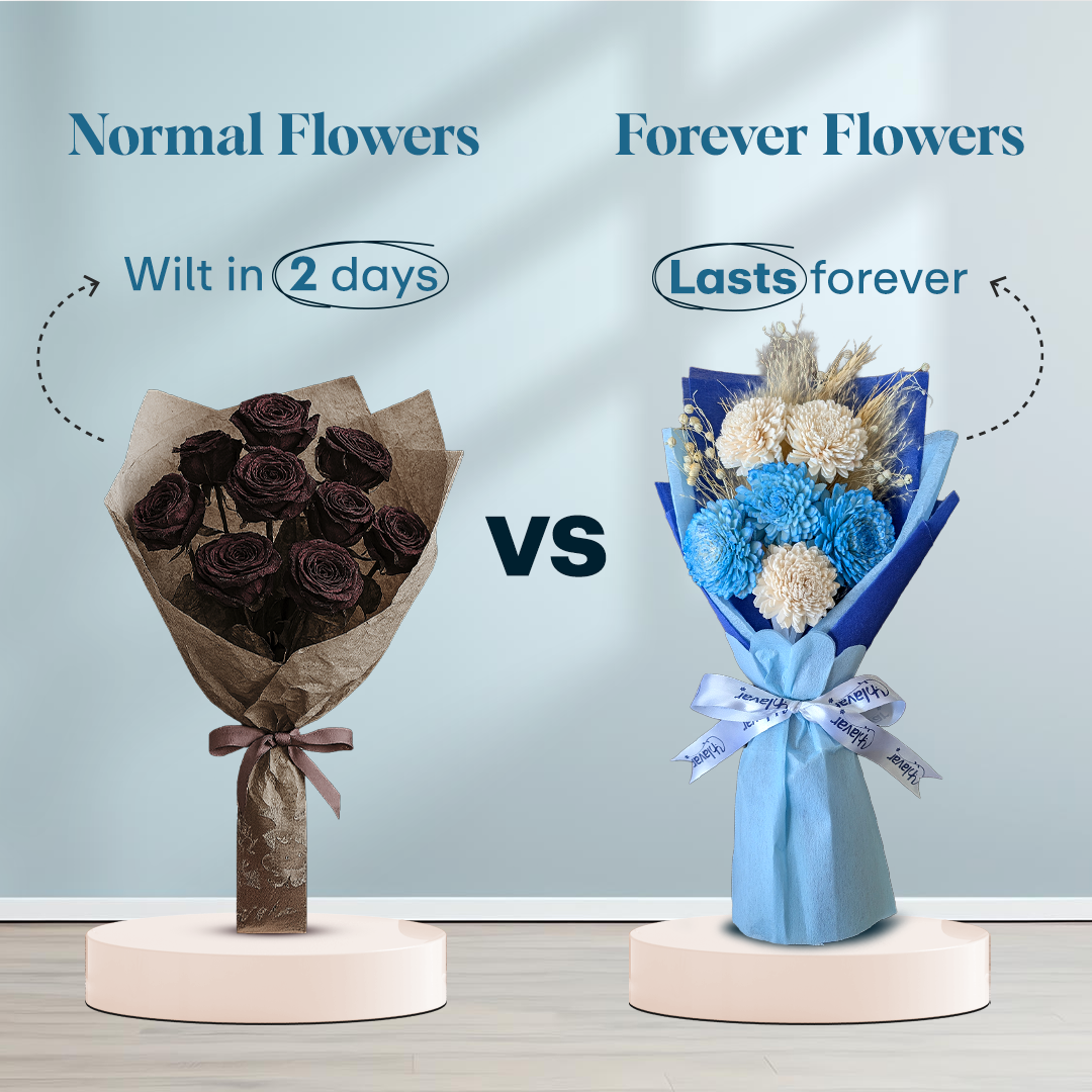 Blue & White Daisy Dried Flower Bouquet - Set of 6