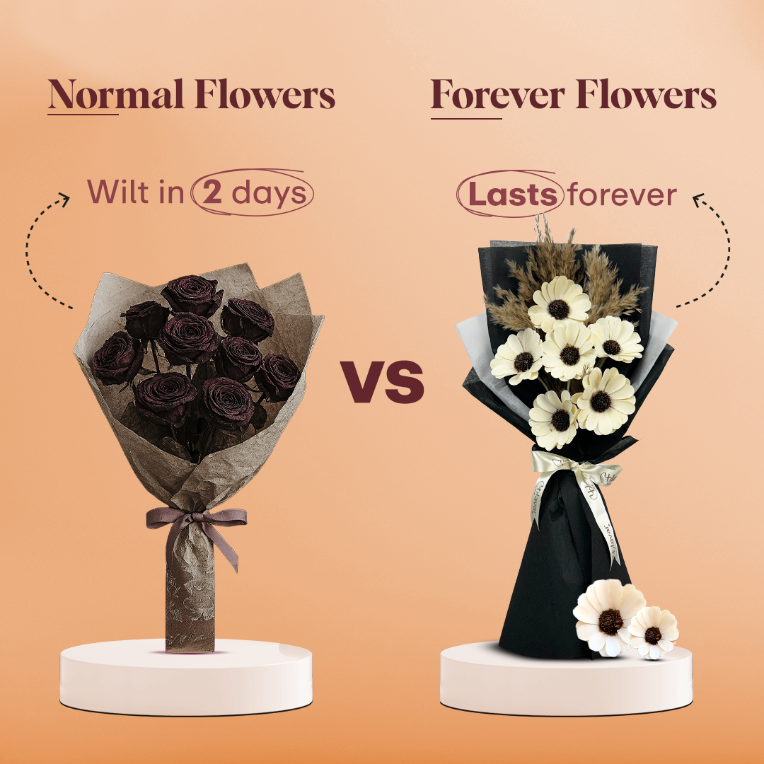 Daisy Dried Flower Bouquet - Elegant Set of 6